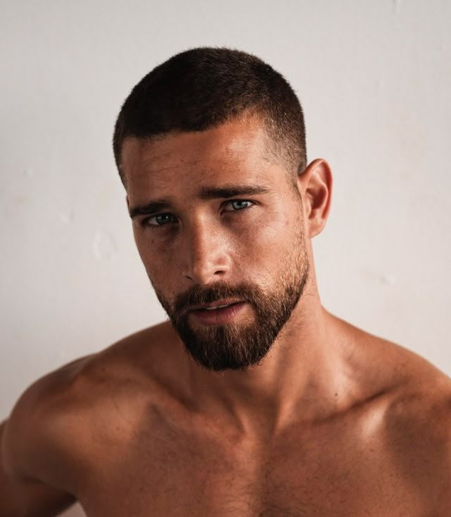 Barba Italiana careca